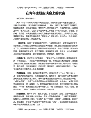 在青年主题座谈会上的发言