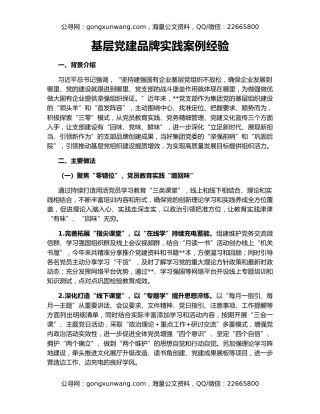 基层党建品牌实践案例经验