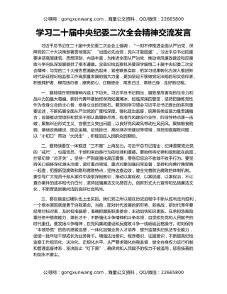 学习二十届中央纪委二次全会精神交流发言
