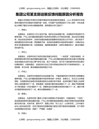 集团公司某支部巡察反馈问题原因分析报告