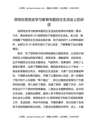 领导在局党史学习教育专题民主生活会上的讲话