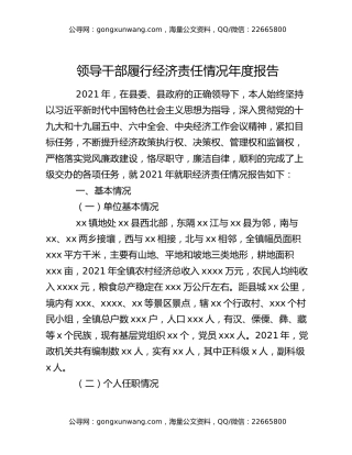 领导干部履行经济责任情况年度报告