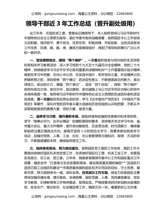 领导干部近3年工作总结（晋升副处级用）