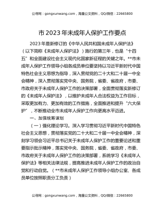 市2023年未成年人保护工作要点