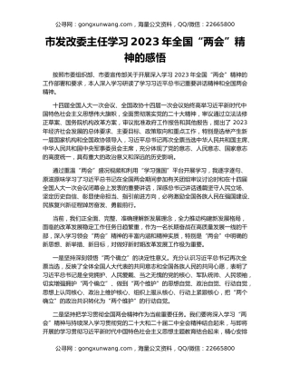 市发改委主任学习2023年全国“两会”精神的感悟