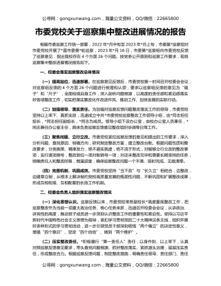 市委党校关于巡察集中整改进展情况的报告