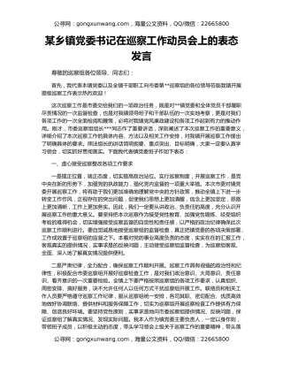 某乡镇党委书记在巡察工作动员会上的表态发言