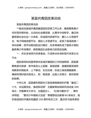 某县共青团改革总结