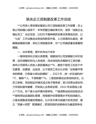 某央企三项制度改革工作总结