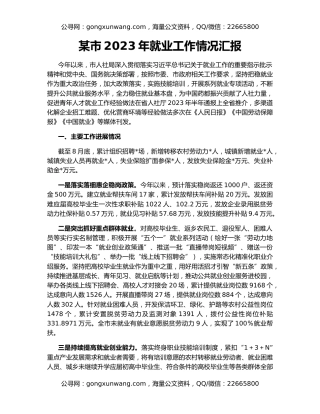 某市2023年就业工作情况汇报