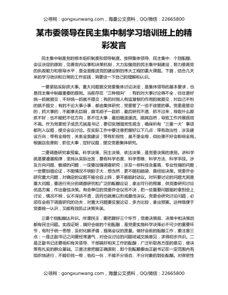 某市委领导在民主集中制学习培训班上的精彩发言