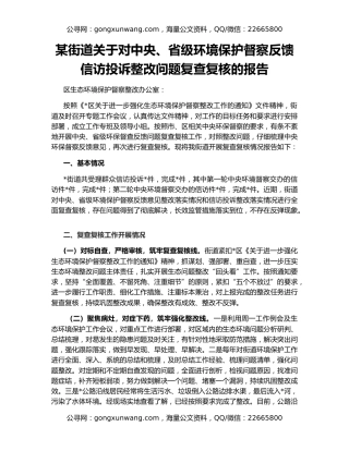 某街道关于对中央、省级环境保护督察反馈信访投诉整改问题复查复核的报告