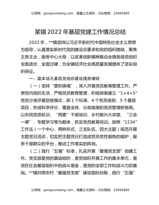 某镇2022年基层党建工作情况总结