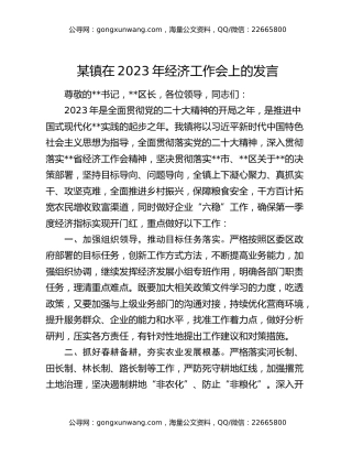 某镇在2023年经济工作会上的发言