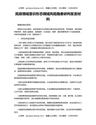 民政领域意识形态领域风险隐患研判发言材料