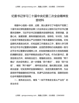 纪委书记学习二十届中央纪委二次全会精神发言材料
