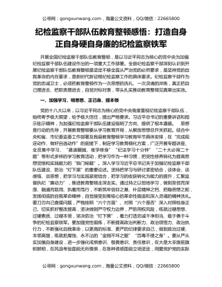 纪检监察干部队伍教育整顿感悟：打造自身正自身硬自身廉的纪检监察铁军