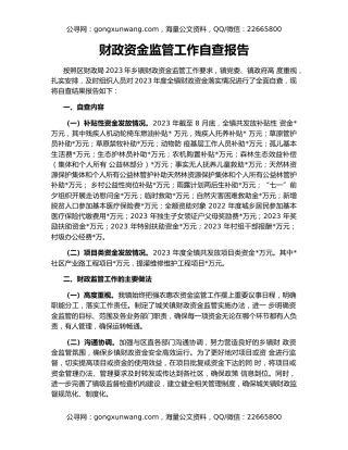 财政资金监管工作自查报告