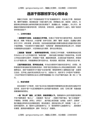选派干部跟班学习心得体会