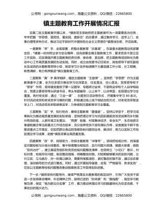 镇主题教育工作开展情况汇报