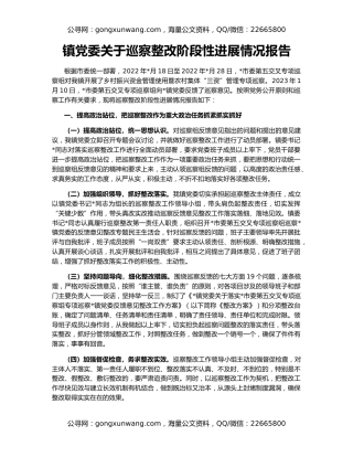 镇党委关于巡察整改阶段性进展情况报告
