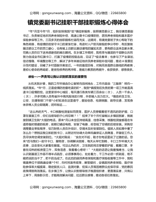 镇党委副书记挂职干部挂职锻炼心得体会