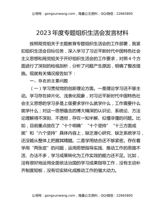 2023年度专题组织生活会发言材料