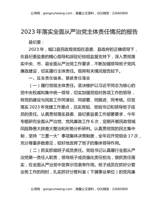 2023年落实全面从严治党主体责任情况的报告