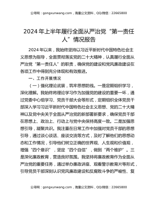 2024年上半年履行全面从严治党“第一责任人”情况报告