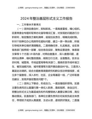 2024年整治基层形式主义工作报告