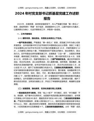 2024年村党支部书记抓基层党建工作述职报告