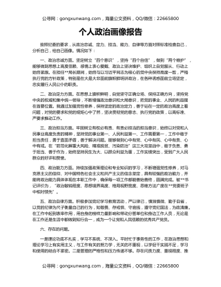 个人政治画像报告