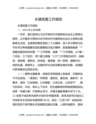 乡镇党委工作报告