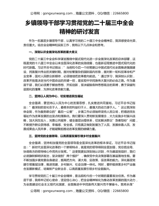乡镇领导干部学习贯彻党的二十届三中全会精神的研讨发言