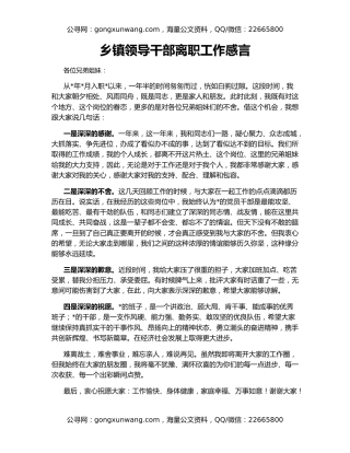 乡镇领导干部离职工作感言