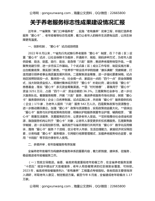 关于养老服务标志性成果建设情况汇报