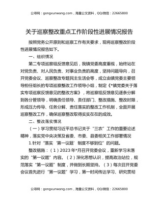 关于巡察整改重点工作阶段性进展情况报告