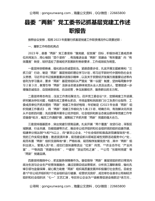 县委“两新”党工委书记抓基层党建工作述职报告