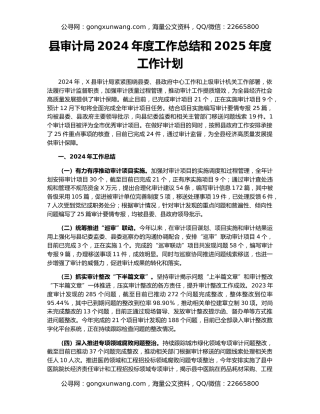 县审计局2024年度工作总结和2025年度工作计划