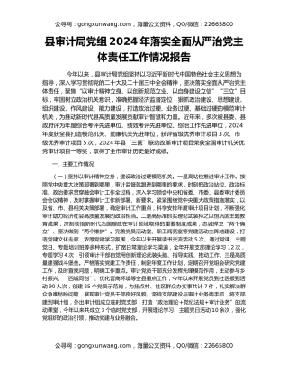 县审计局党组2024年落实全面从严治党主体责任工作情况报告