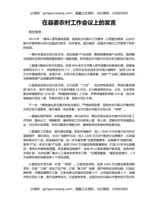 在县委农村工作会议上的发言