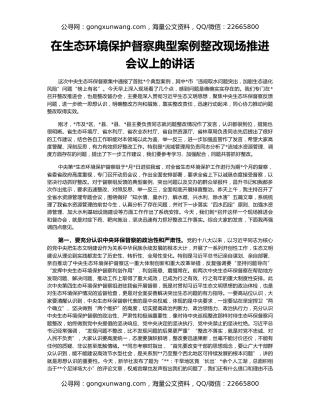 在生态环境保护督察典型案例整改现场推进会议上的讲话