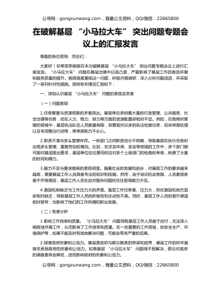 在破解基层 “小马拉大车” 突出问题专题会议上的汇报发言