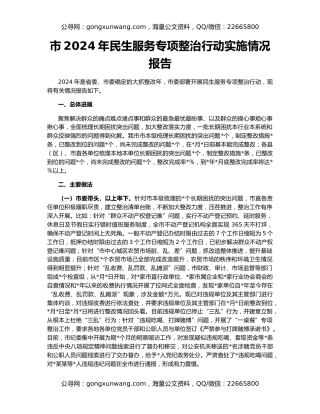 市2024年民生服务专项整治行动实施情况报告
