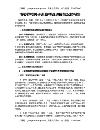 市委党校关于巡察整改进展情况的报告