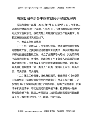 市财政局党组关于巡察整改进展情况报告