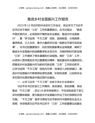 推进乡村全面振兴工作报告