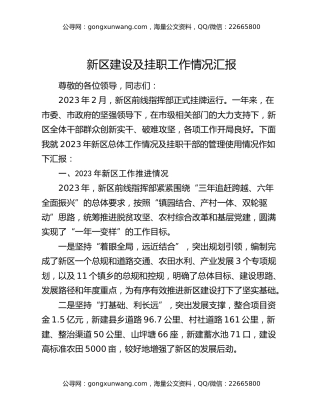 新区建设及挂职工作情况汇报