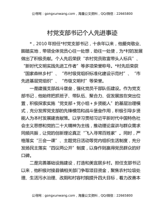 村党支部书记个人先进事迹