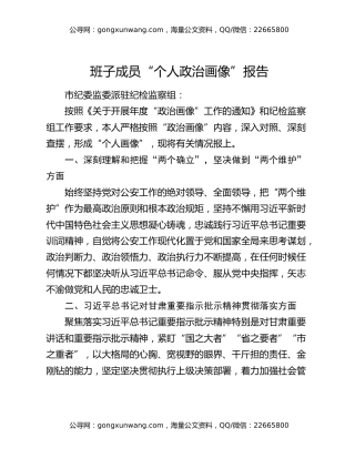 班子成员“个人政治画像”报告